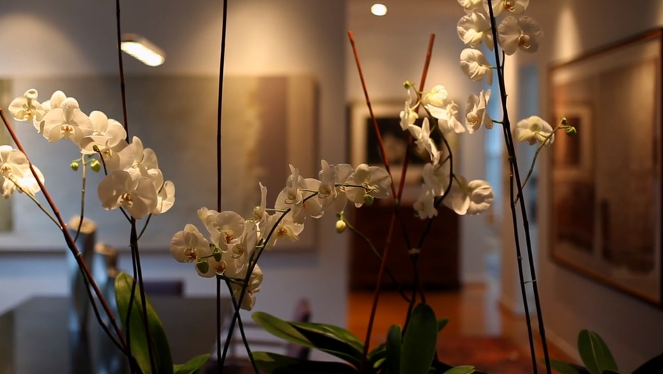 Interior Design – Orchids